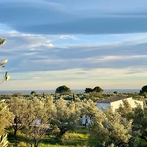 Mimosa Tortosa
